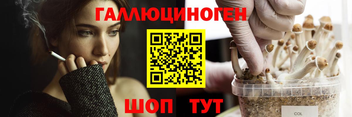Гагарин  Псилоцибиновые грибы Psilocybine cubensis  Вход с VPN 
